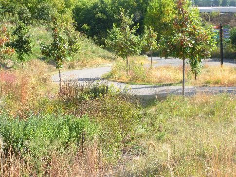 Bruce Vento Regional Trail